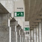 Evakuasi Ular di Pelabuhan